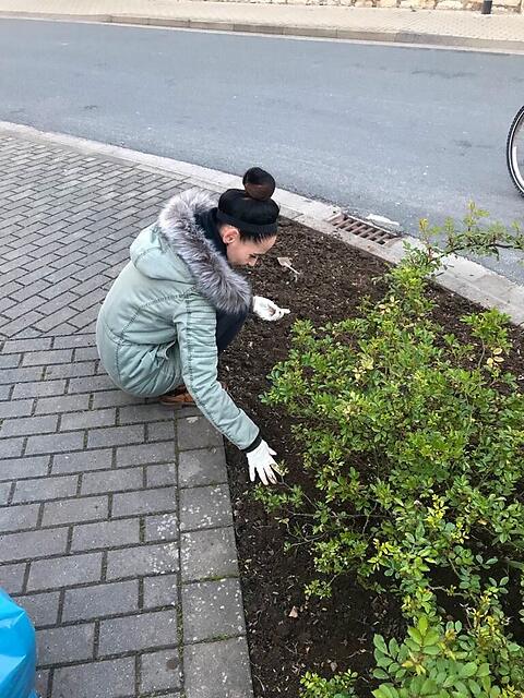 Bilder vom Frühjahrsputz – Bild 1