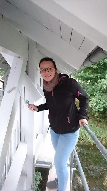 Bilder der Restaurierung – Bild 16