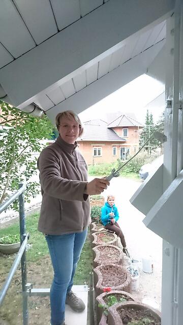 Bilder der Restaurierung – Bild 19